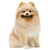 Nylabone Puppy Chew Ring Bone & Toy Twin Pack, Flavor Medley, 2 count, Petite