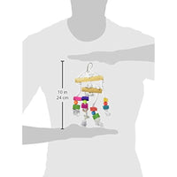 Prevue Pet Products BPV60935 Bodacious Bites Bird Toy, Small/Medium, Buffet