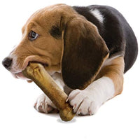 Nylabone Healthy Edibles Chicken Flavored Dog Treats | All Natural Grain Free Dog Treats Made In the USA Only | 2 Count