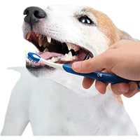 Nylabone Advanced Oral Care Puppy Dog Dental Kit