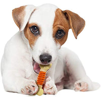 Nylabone PRO Action dog Bone Dental Chew Toy, Small