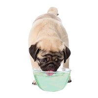 Nylabone Advanced Oral Care Liquid Breath Freshener, 16-Ounce