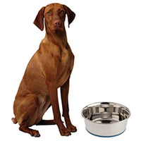 OurPets Premium DuraPet Dog Bowl 1.25qt