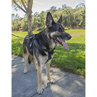Sherpa Dog Harness with Built in Leash, Black, X-Large (SPT77724)