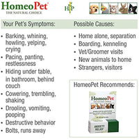 HomeoPet Anxiety Relief
