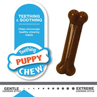 Nylabone Puppy Chew Ring Bone & Toy Twin Pack, Flavor Medley, 2 count, Petite