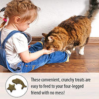 Emerald Pet Feline Wholly Fish! Crunchy Natural Grain Free, Chicken Free Cat Treats, Made in USA