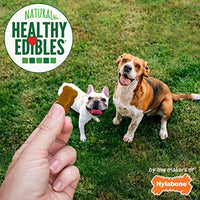 Nylabone Healthy Edibles Natural Chewy Bites Soft Dog Chew Treats Peanut Butter 12 oz.