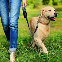 Simple Solution Pee Post Outdoor Potty Training Aid | Pheromone-Infused Yard Stake with GO HERE Technology 13 Inch Stake