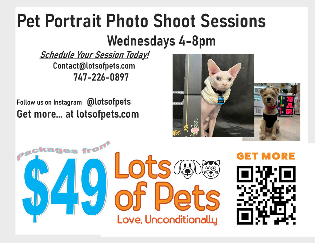 Pet Portrait Photo Shoot Sessions at Woodland Hills Store