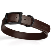 Biothane Waterproof Collar