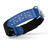 Leather + Nylon Spike Collar