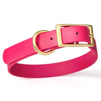 
              Viper Biothane Waterproof Dog Collar - Brass Hardware
            