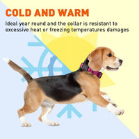 
              Dogline Biothane Waterproof Dog Collar with Quick Release Buckle
            