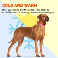 
              Biothane Adjustable Martingale Collar with Metal Buckle
            