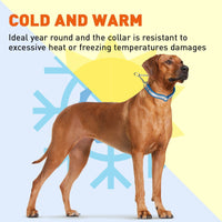 
              Reflective Biothane Martingale Collar
            