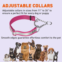 
              Reflective Biothane Martingale Collar
            