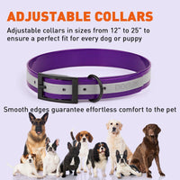 
              Biothane Translucent Reflective Collar
            