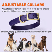 
              Viper Biothane Waterproof Dog Collar - Brass Hardware
            