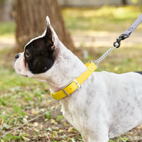 
              Biothane Adjustable Martingale Collar with Metal Buckle
            