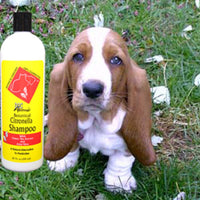 
              Doc Ackerman's Botanical Citronella Flea & Tick Shampoo for Dogs & Cats 16..
            