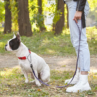 
              Biothane Waterproof Leash
            