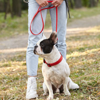 Biothane Waterproof Leash