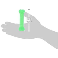 
              Nylabone Dental Kit for Small Puppies
            