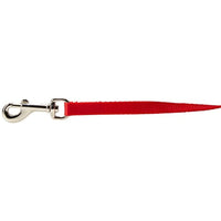 
              Coastal Pet Products DCP306Red Nylon Collar Lead for Pets, 3/8-Inch by 6-Feet, Red
            