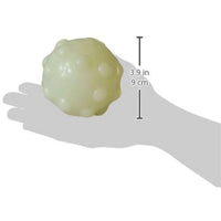 
              Jolly Pets Jumper Dog Toy Balls, Large, Glow in The Dark
            