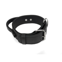 
              Viper Biothane Working Dog Collar + Built-in Handle - Stainless Steel Hardware
            