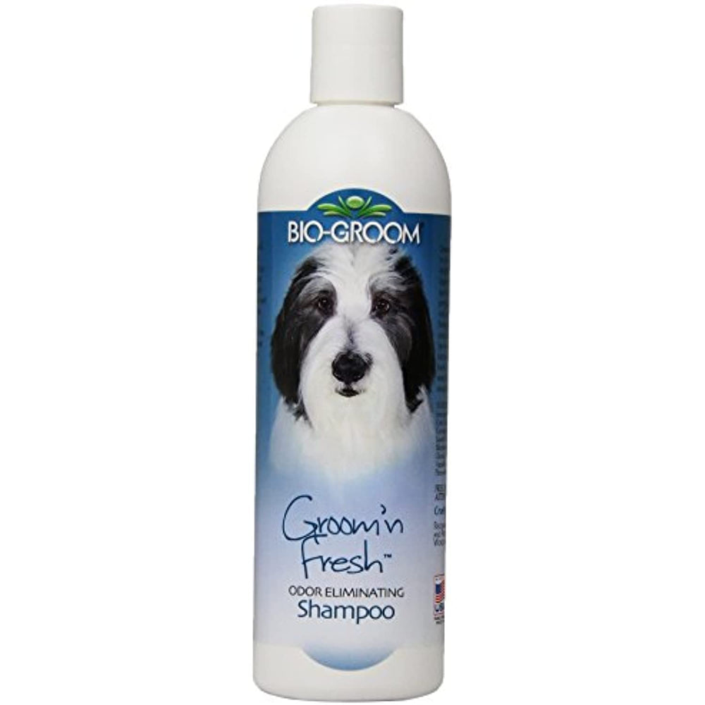 Bio-Groom Groom 'N Fresh Dog and Cat Conditioning Shampoo, 12-Ounce