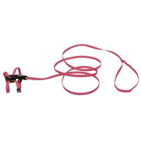 Coastal Pet Products L`Il Pals Kitten 5/16 Inch Kitten Harness (6-10 Inch Girth), 6Ft Lead Combo - Neon Pink