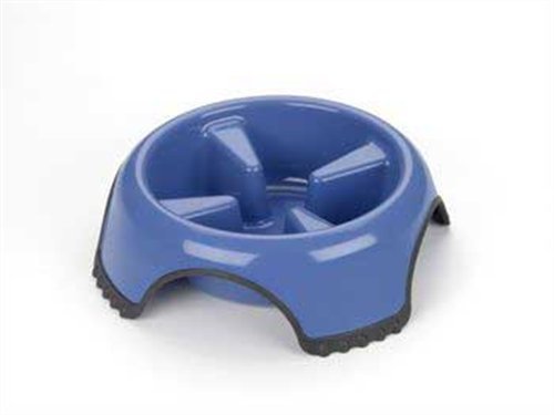 Skid Stop Slow Feed Bowl - Medium (Color May Vary)