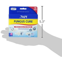 API FUNGUS CURE Freshwater Fish Powder Medication 10-Count Box