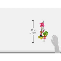 
              Prevue Pet Products Tropical Teasers Mai Tai Bird Toy, Multicolor
            