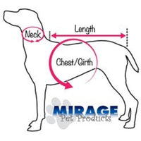 Mirage Pet Products Just The Basics Crystal and Spike Collars, 10-Inch, Black