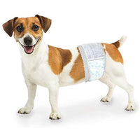 
              Four Paws Wee-Wee Disposable Male Dog Wraps 36 Count X-Small/Small
            