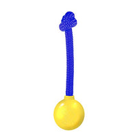 
              Our Pets Grrrassic Durable Toss Toy, Blue. Made in The USA
            