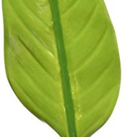 Zoo Med Laboratories AZMBL20 Betta Hammock