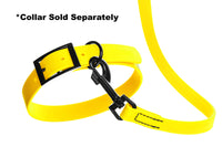 
              Biothane Waterproof Leash
            