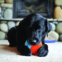 
              ChuckIt! Indoor Ball Dog Fetch Toy For Medium To Large Dogs, Orange/Blue One Size Only
            