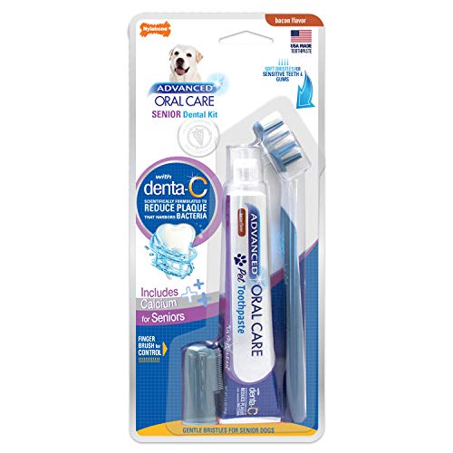 Nylabone Advanced Oral Care Small Senior Dog Dental Kit