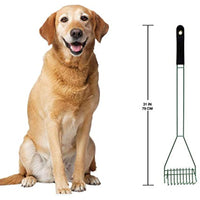 
              Four Paws Grass Wire Dog Rake Scooper for Pet Waste Pick-up 5" x 6.13" x 29.5"
            