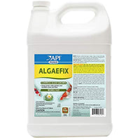 API POND ALGAEFIX Algae Control 1-Gallon Bottle