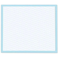 
              Four Paws Wee Wee Absorbent Pads for Dogs Standard 10 Count
            