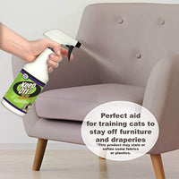 
              Keep Off! Repellent 16-Ounce Spray
            