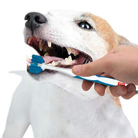 
              Nylabone Advanced Oral Triple Action Dog Dental Kit
            