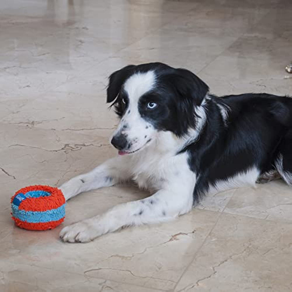 Chuckit! Canine Hardware Indoor Roller Dog Toy