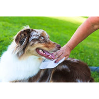 
              Earthbath Tushy Wipes - Helps Neutralize Oder Between Washes, Cleanses and Soothes, Good for Dogs & Cats - Rosemary & Chamomile, 100 Count
            